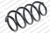 LESJ?FORS 4095115 Coil Spring